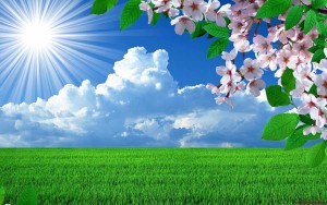 nature-spring-flowers-landscapes-trees-sky-landscape-background-images